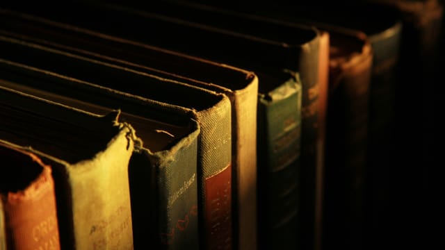 Row of vintage books with worn covers in warm sunlit shadow.