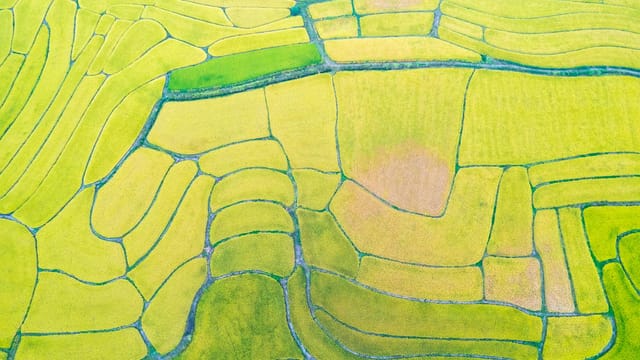 Stunning aerial shot of green rice terraces in rural China, showcasing intricate patterns.