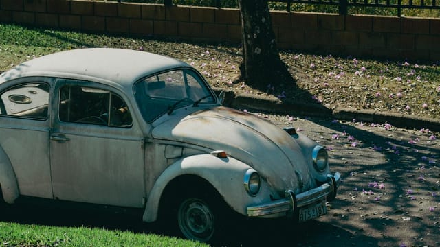 An old vintage Volkswagen Beetle sits rusting outdoors surrounded by fallen flowers.