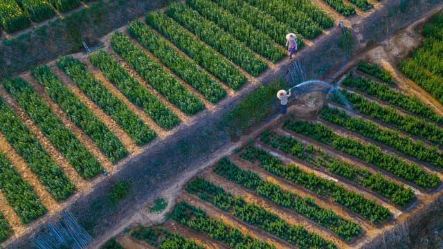 High angle shot of farmers tending to lush green cropland using irrigation systems.