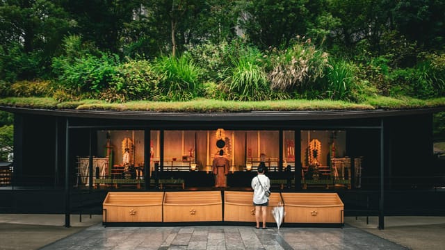 A visitor stands before a shrine at Dazaifu, Fukuoka, surrounded by lush greenery and traditional architecture.