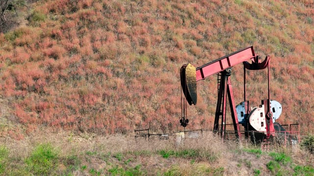Industrial oil pumpjack in a rural field with colorful vegetation.