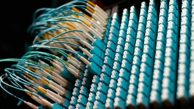 Close-up view of organized fiber optic cables on a patch panel, showing efficient cable management.