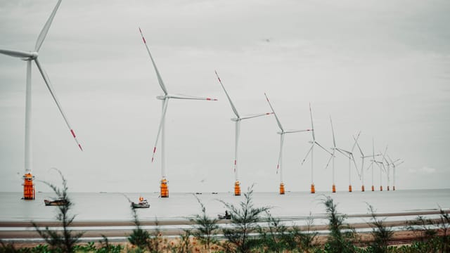 Scenic view of offshore wind turbines lined up in calm sea setting with vegetation in foreground.