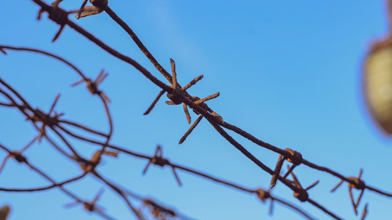 Close-up of rusty barbed wire with a clear blue sky as backdrop, capturing a rugged texture.
