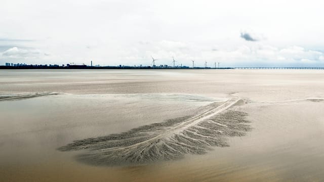 A tranquil coastal landscape featuring wind turbines and a serene shore.