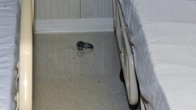 Guantanamo medical care -c