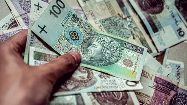 A hand holding Polish Zloty banknotes, depicting currency and finance.