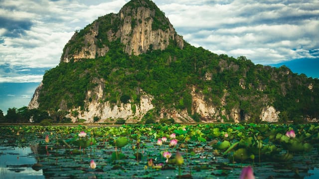 Beautiful scenic view of a lush green mountain with blooming lotus flowers in a tranquil lake.