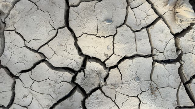 Close-up of cracked earth highlighting the impact of drought and climate change.