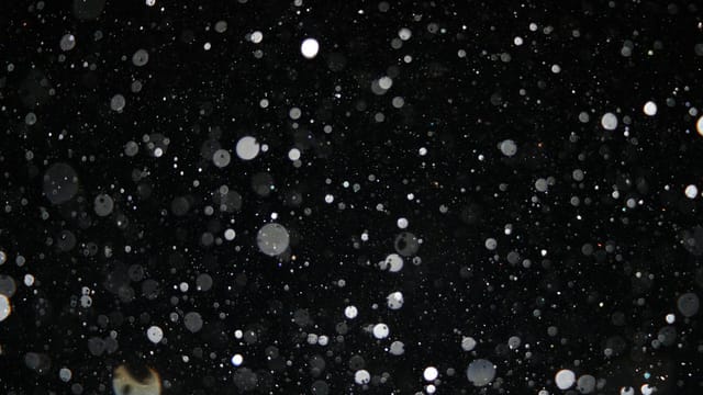 Captivating image of white snowflakes falling against a dark night sky.