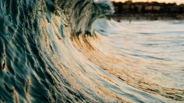 Captivating wave captured at Bondi Beach, Australia, during sunset, showcasing golden reflections.