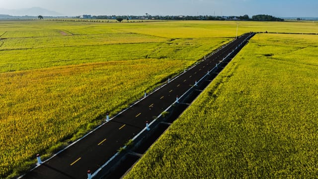 Drone captures a stunning road slicing through lush green fields under a clear blue sky.