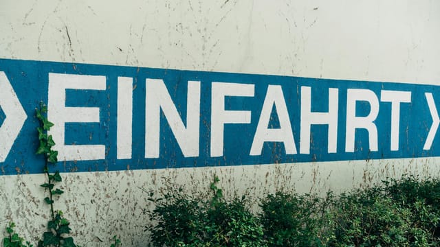 Close-up of a German 'Einfahrt' sign on a textured wall with ivy, conveying an entryway directive.