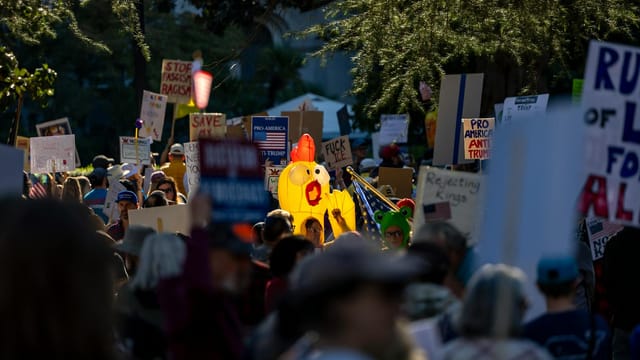 A vibrant protest scene capturing various signs and symbols in downtown Sacramento.