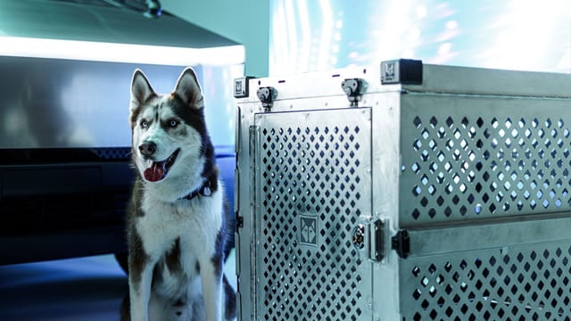 A Siberian husky beside a sleek dog crate and a futuristic vehicle in a studio setting.