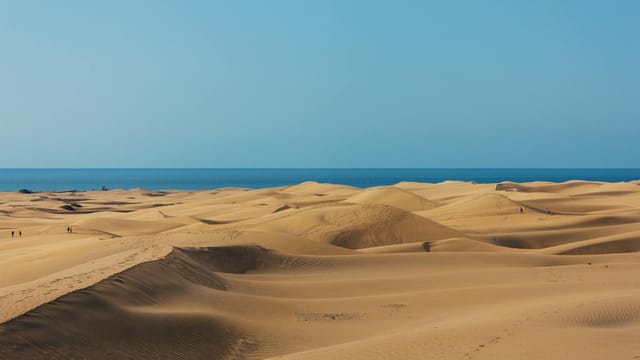 A stunning view of vast sand dunes extending toward the ocean under a clear blue sky.