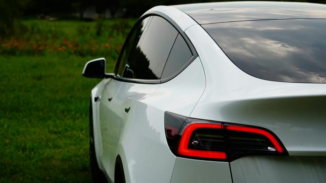 A white Tesla Model Y parked in a lush green outdoor setting, highlighting its sleek design.