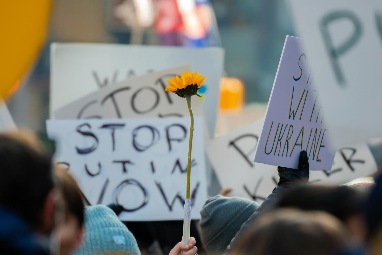 Demonstrators with signs and a sunflower at a New York protest rally.