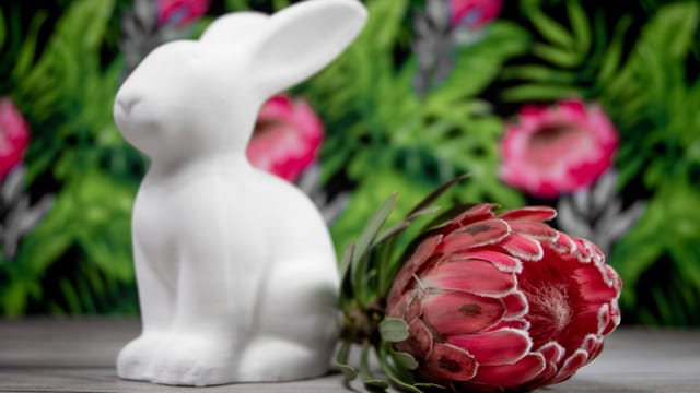 A ceramic bunny figurine beside a vibrant protea flower on a wooden surface.