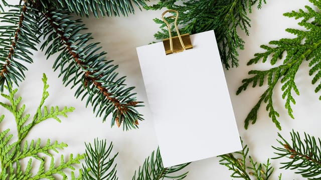 Flat lay of blank paper surrounded by spruce branches, offering fresh copyspace.