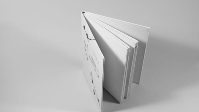 A minimalist open book with white pages, perfect for artistic and minimalist designs.