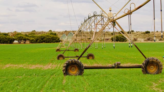 An advanced irrigation system waters a lush green field under a cloudy sky, enhancing farming efficiency.