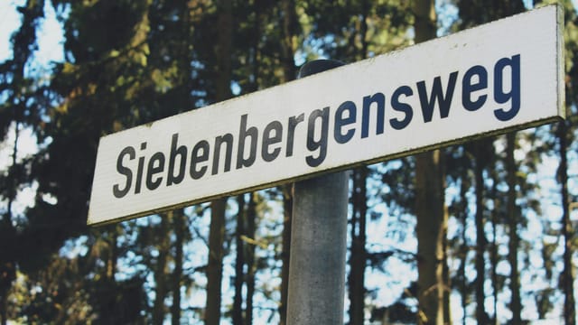 Street sign 'Siebenbergsweg' amidst tall trees in Bremerhaven forest, Germany.
