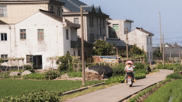 A serene village road scene with a person riding a scooter amidst green fields and houses.