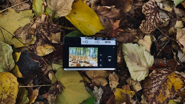 A camera displays autumn foliage in a forest. Vibrant fall colors surround the device.