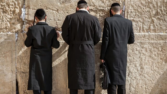Orthodox Jewish men facing the Western Wall in Jerusalem, deep in prayer and contemplation.