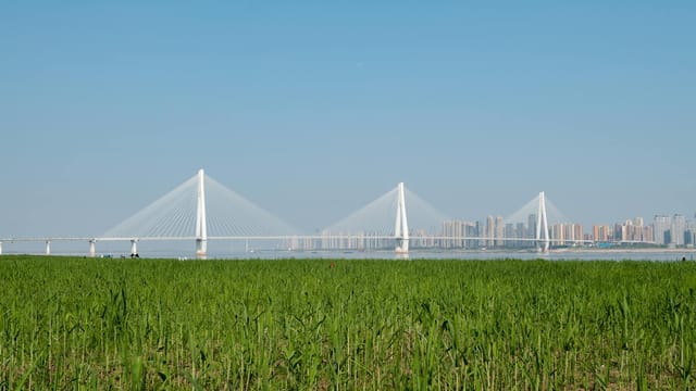 Scenic view of the Erqi Yangtze River Bridge in Wuhan with urban skyline and green field.