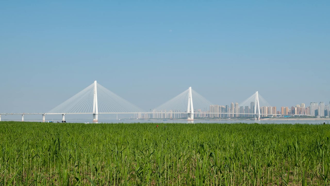 Scenic view of the Erqi Yangtze River Bridge in Wuhan with urban skyline and green field.