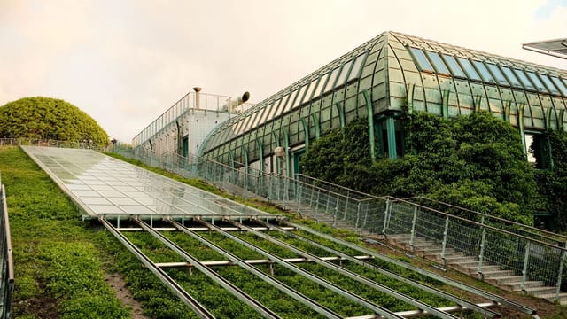 Modern eco-friendly building with a lush green roof and innovative architecture design.