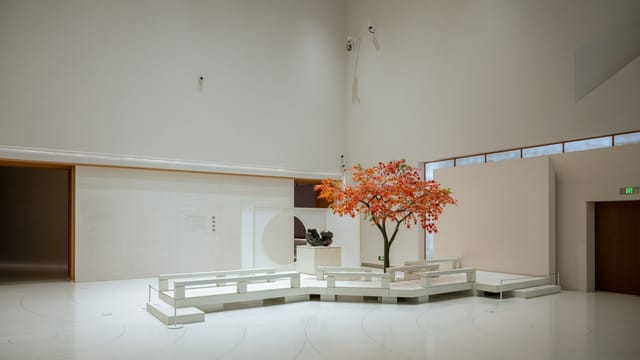 A minimalist indoor art installation featuring a vibrant autumn tree set in a gallery in Shanghai.
