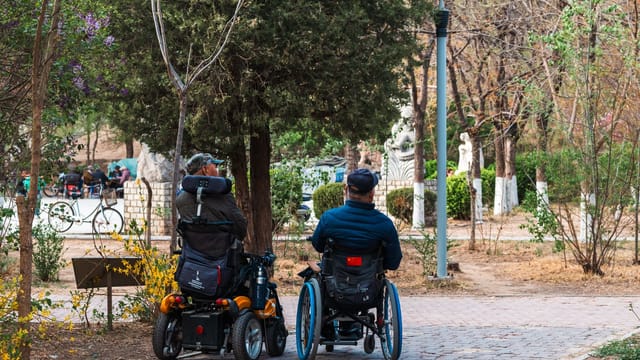 Two adults in wheelchairs enjoying a stroll through a scenic park in the springtime.