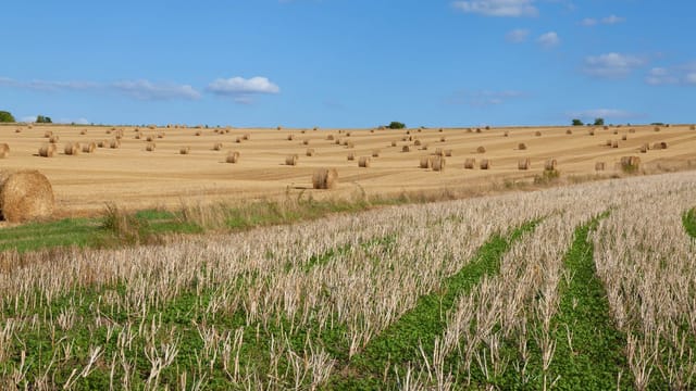 Stunning rural landscape with rolled hay bales under a blue sky, near La Roche-Guyon, France.