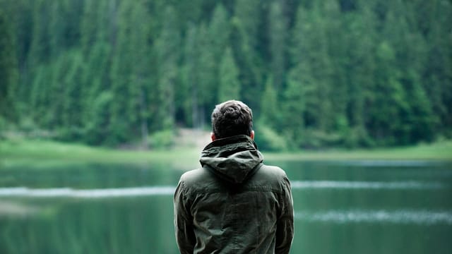 A person in a green jacket stands by a serene forest lake, capturing calming nature.