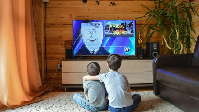 Two brothers enjoying a cartoon in a cozy wooden living room.