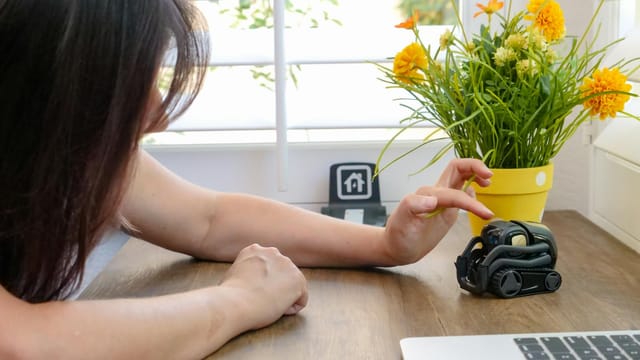 A woman petting a small robot on a wooden table beside a laptop and flowers.
