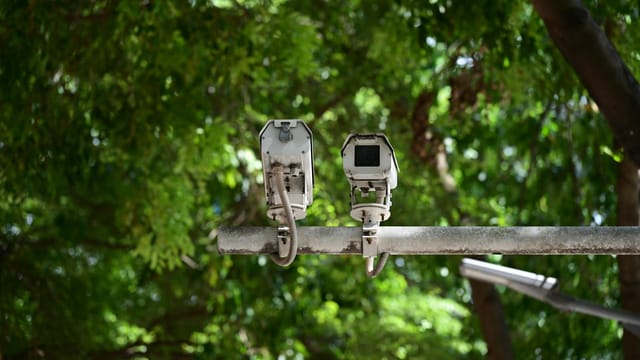 Outdoor security cameras mounted on a pole against lush green foliage.