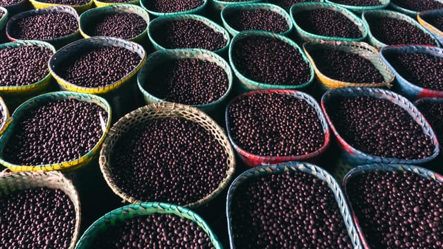 Colorful baskets filled with acai berries at a market in Belém, Pará, showcasing local culture and sustainability.