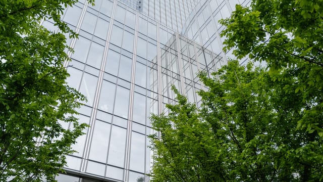 Striking low-angle view of a modern glass skyscraper surrounded by vibrant green trees.