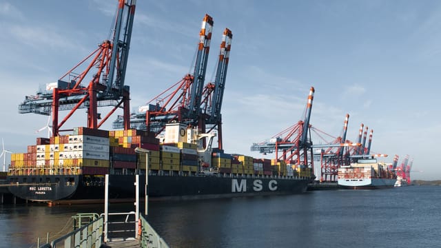 Container ships docked at Hamburg port with cranes loading cargo under clear skies.