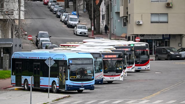 Public buses lined up on a city street in Montevideo, Uruguay on a cloudy day.