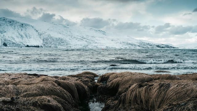 Scenic Arctic coastline with snow-covered mountains and rough seas in Northern Norway.