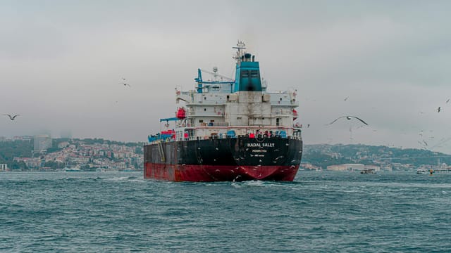 A cargo ship navigating the Bosphorus strait in Istanbul, surrounded by seagulls.