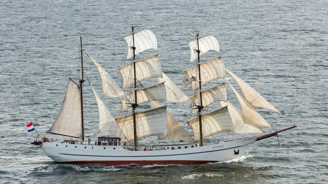 A majestic tall ship sailing on open waters, showcasing classic maritime beauty.