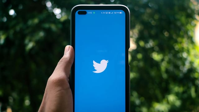 A hand holding a smartphone displaying the Twitter logo outdoors, surrounded by greenery.