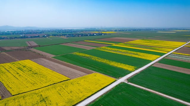 Stunning aerial capture of colorful fields and rural landscape in Jiujiang, China.
